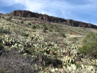 Volcanic rock on the Bell Trail